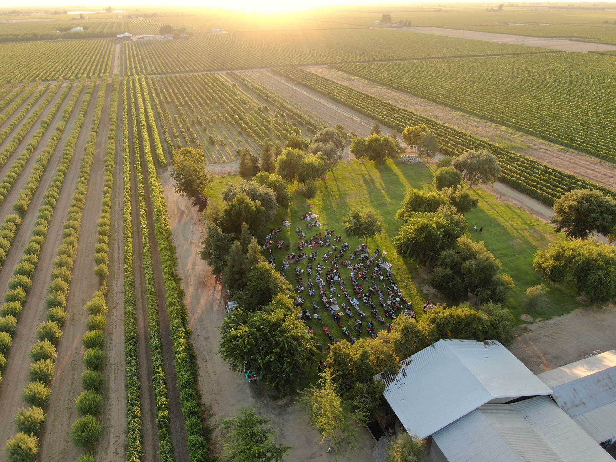 Engelman Cellars in Fresno County, California; Credit: Visit Fresno County