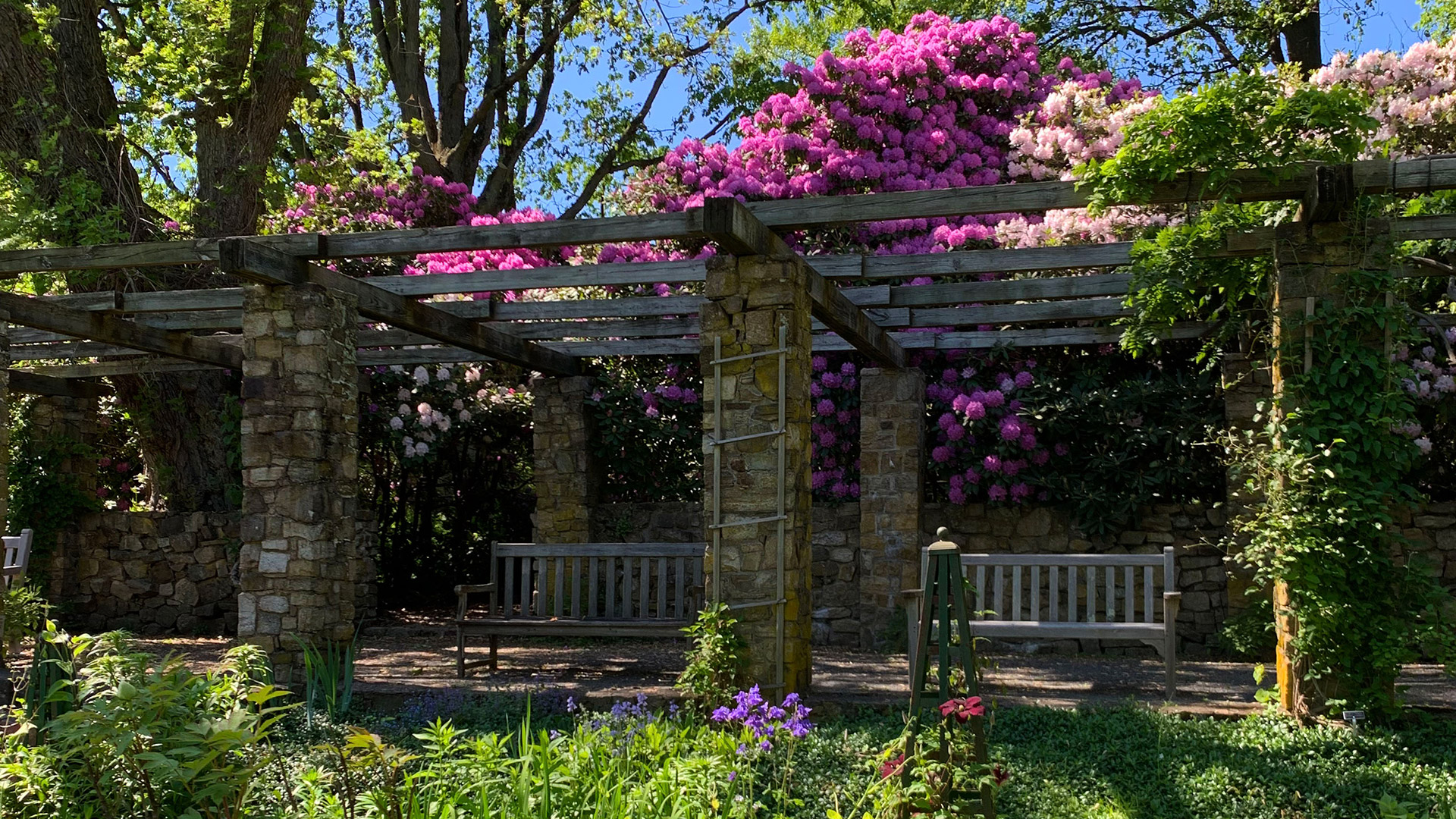 Flowers bloom at Cross Estate Gardens in Bernardsville, New Jersey