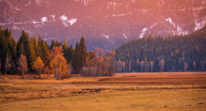 Autumn colors in the Silver Valley near Kellogg, Idaho; Credit: Silver Valley Chamber