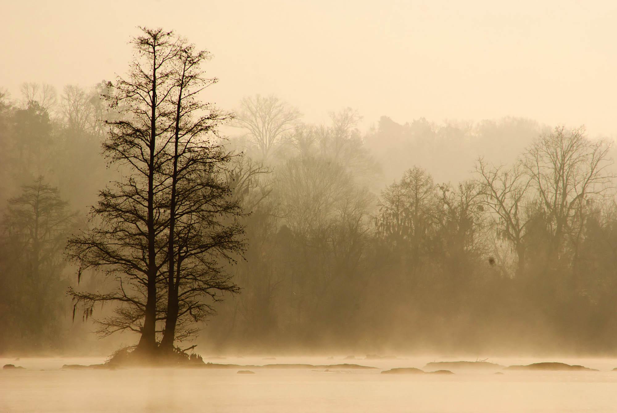 Fog on the Savannah River in Augusta, Georgia
