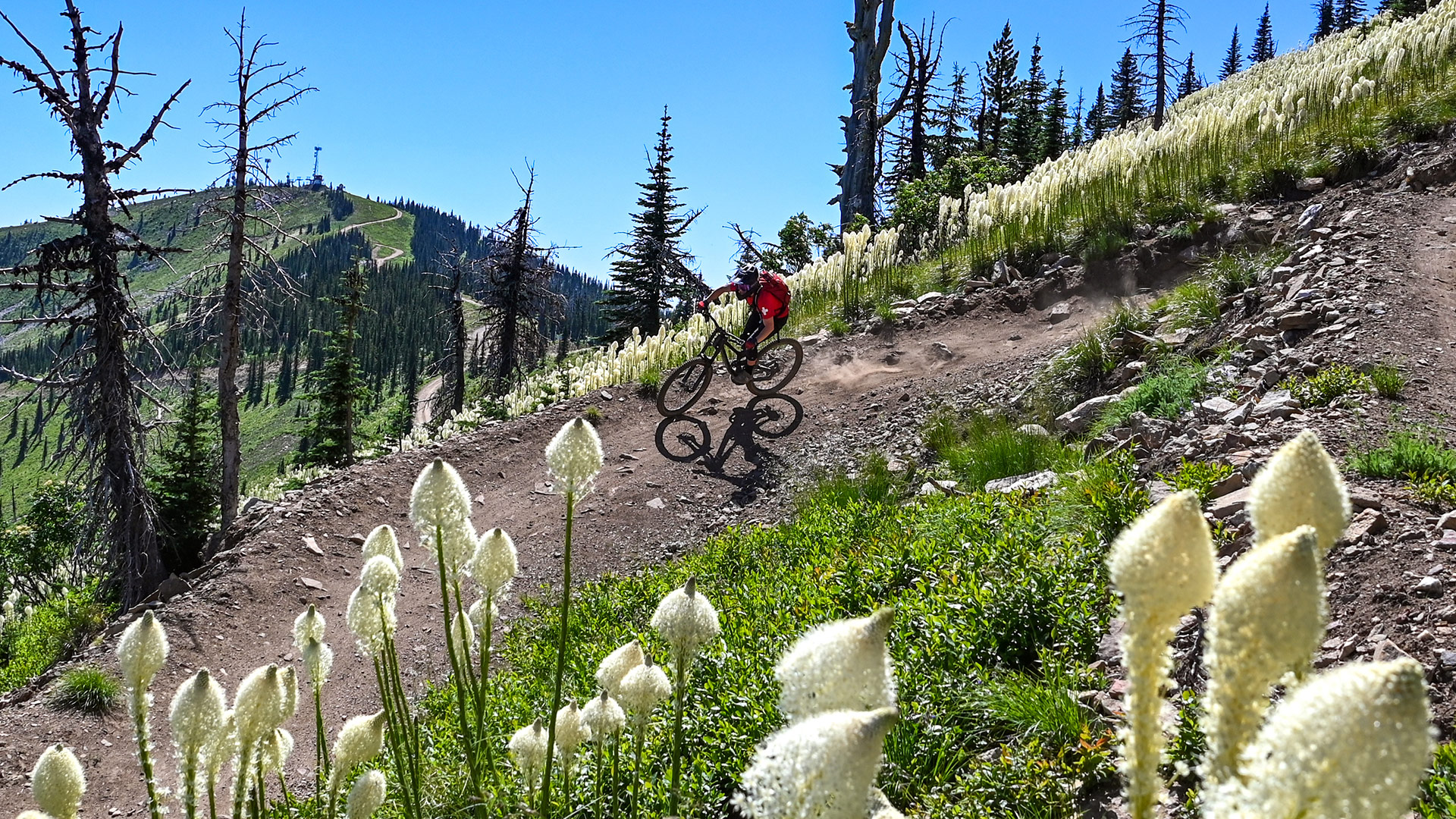Mountain biker at Schweitzer Mountain Resort in Sandpoint, Idaho; Credit: Schweitzer