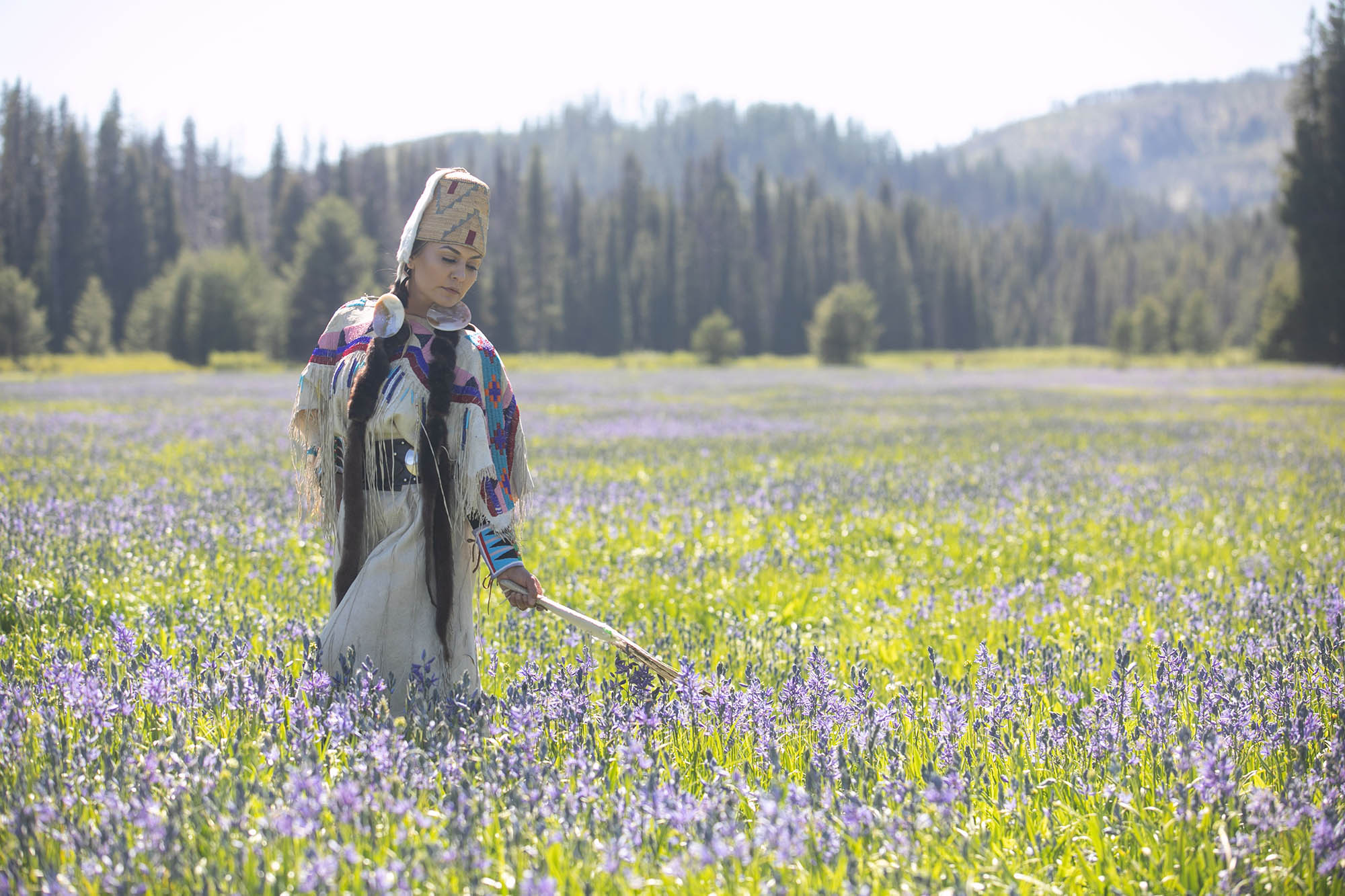 Packer Meadow near the historic Lolo Pass in Idaho

