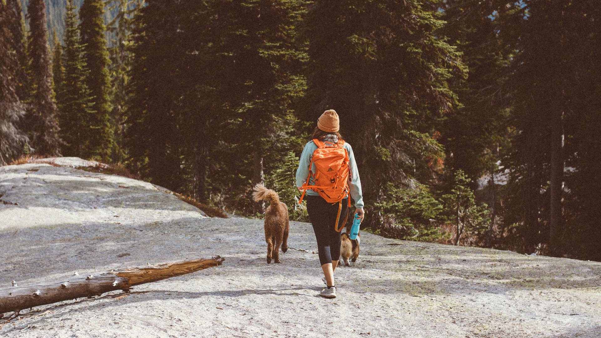 Hiking Harrison Lake Trailhead in Boundary County, Idaho; Credit: Dani Hansen