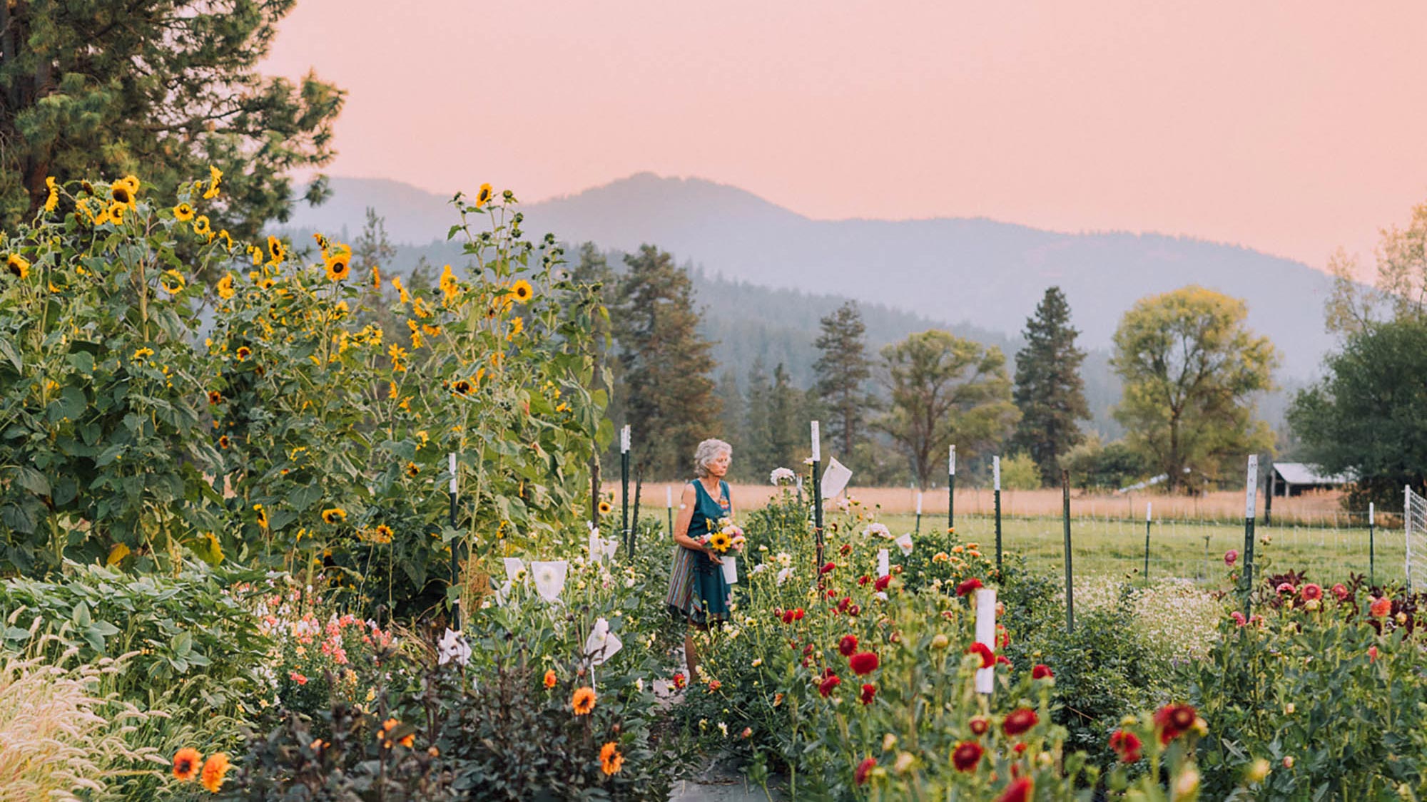 Sowing Joy Flower Farm in Post Falls, Idaho; Credit: Dani Hansen
