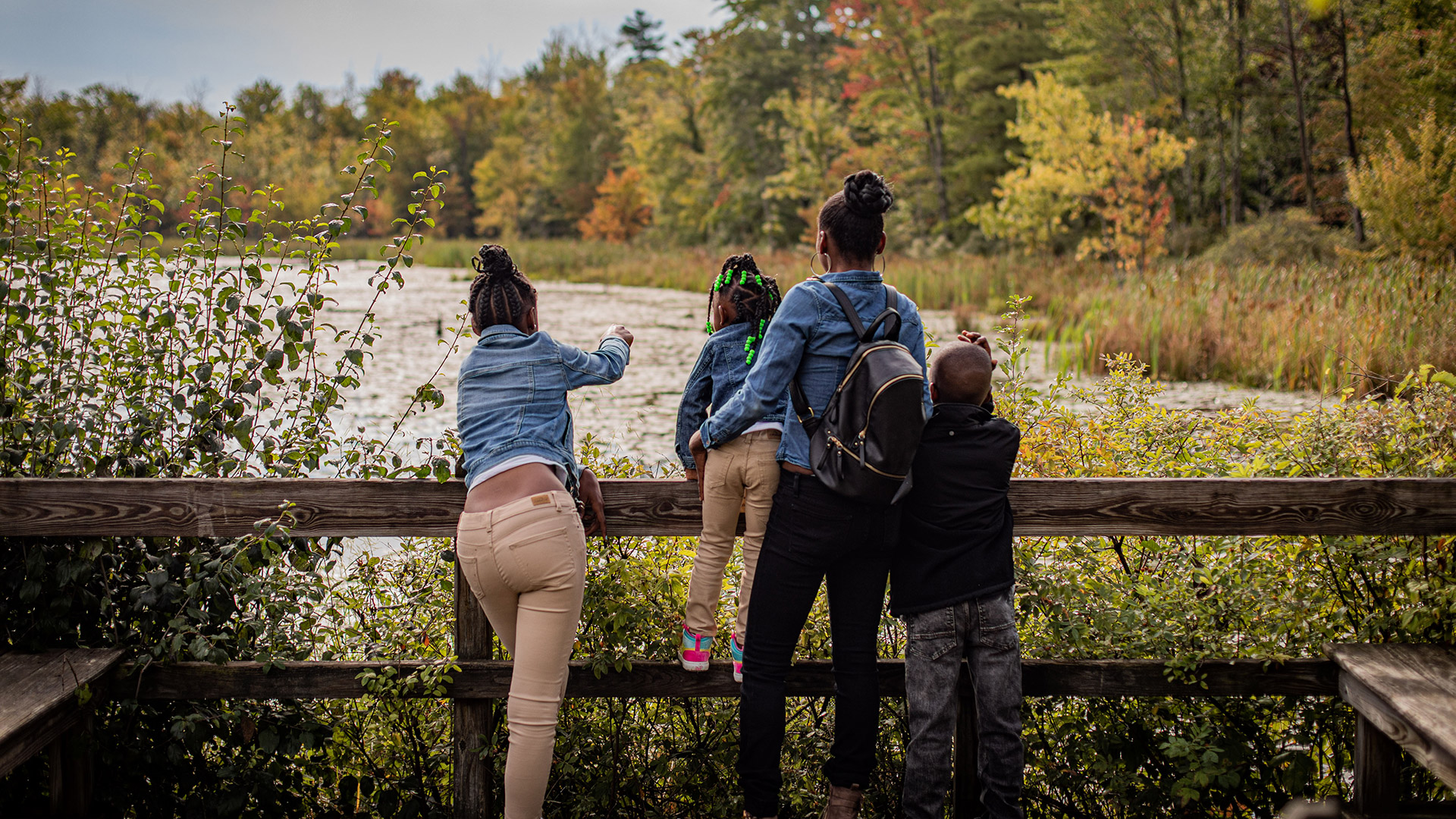 Sapsucker Woods at Cornell University in Ithaca, New York; Credit: Chelsea Fausel