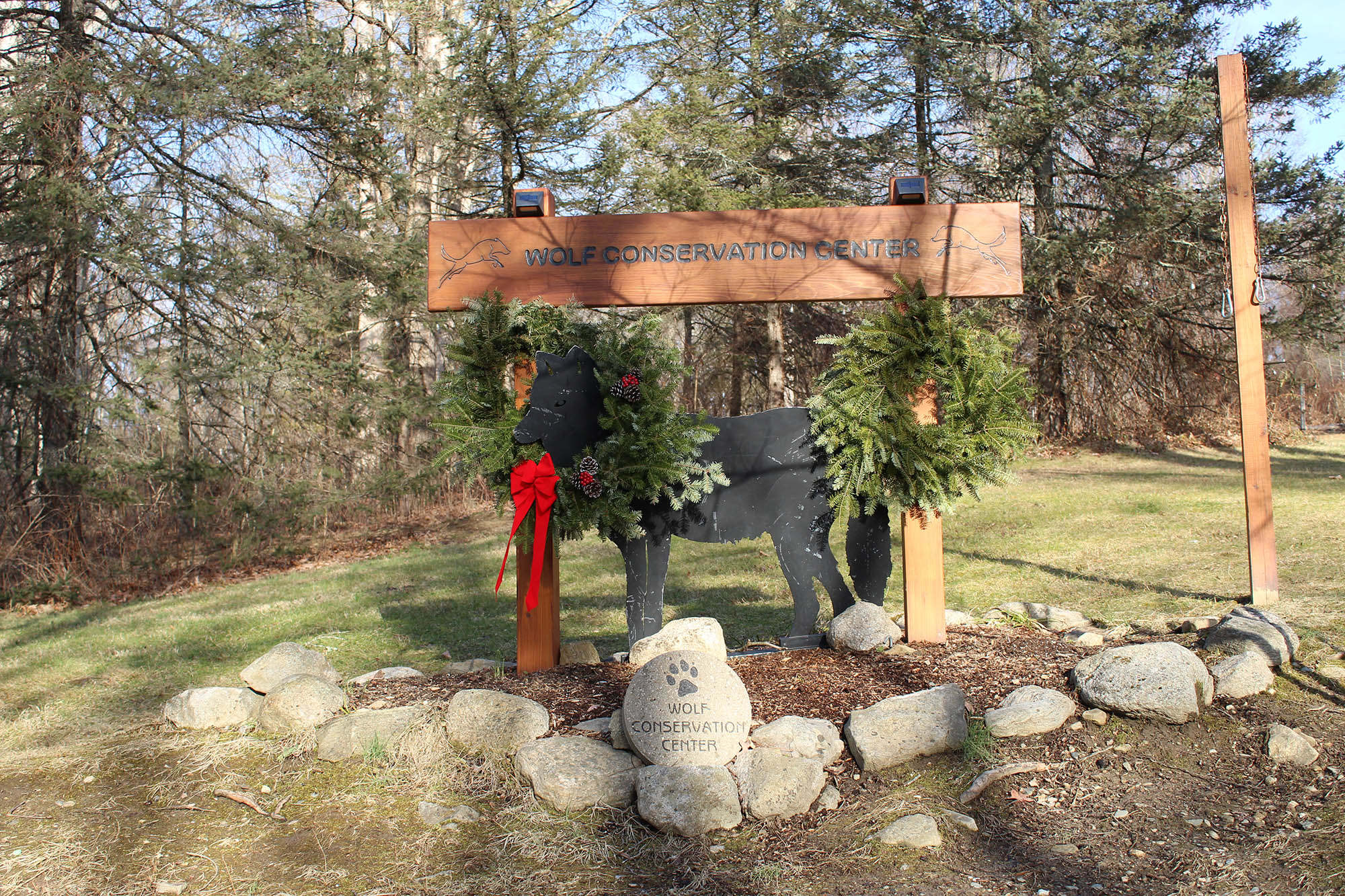 Wolf Conservation Center in Westchester County, New York
