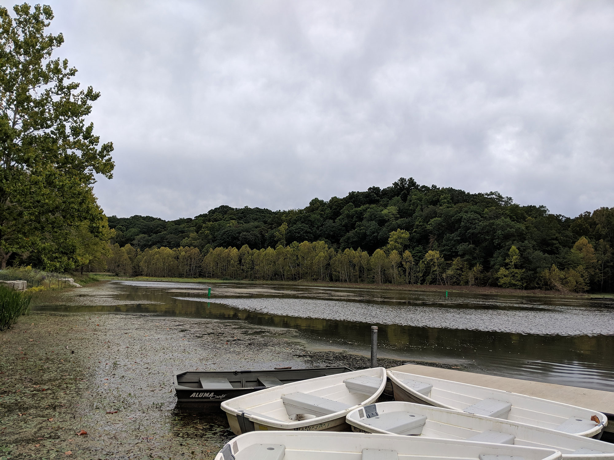 Boats at a marina on Giffy Lake near Bloomington, Indiana