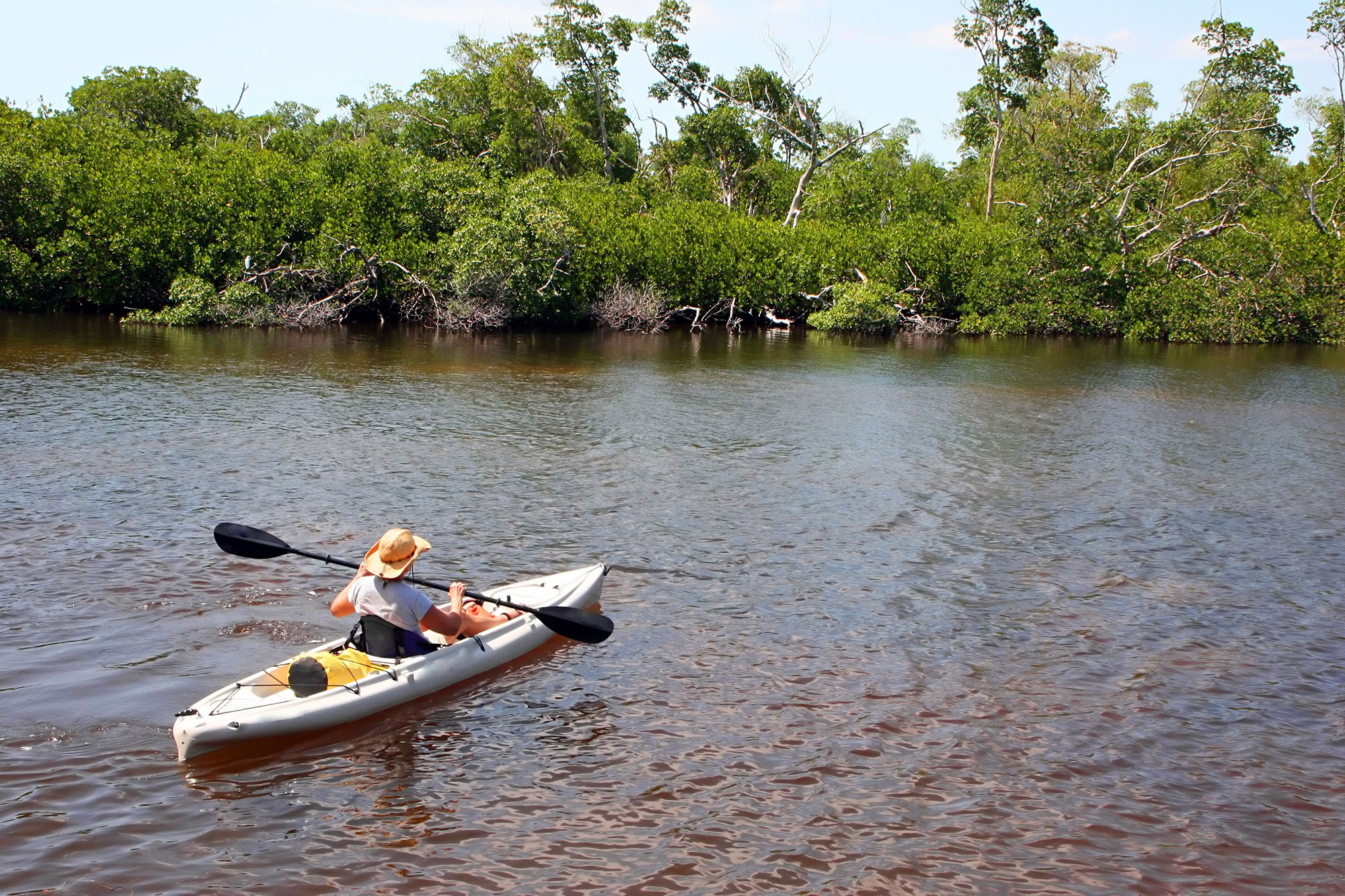 Kayaker birdwatching at J.N. “Ding” Darling National Wildlife Refuge near Fort Myers, Florida