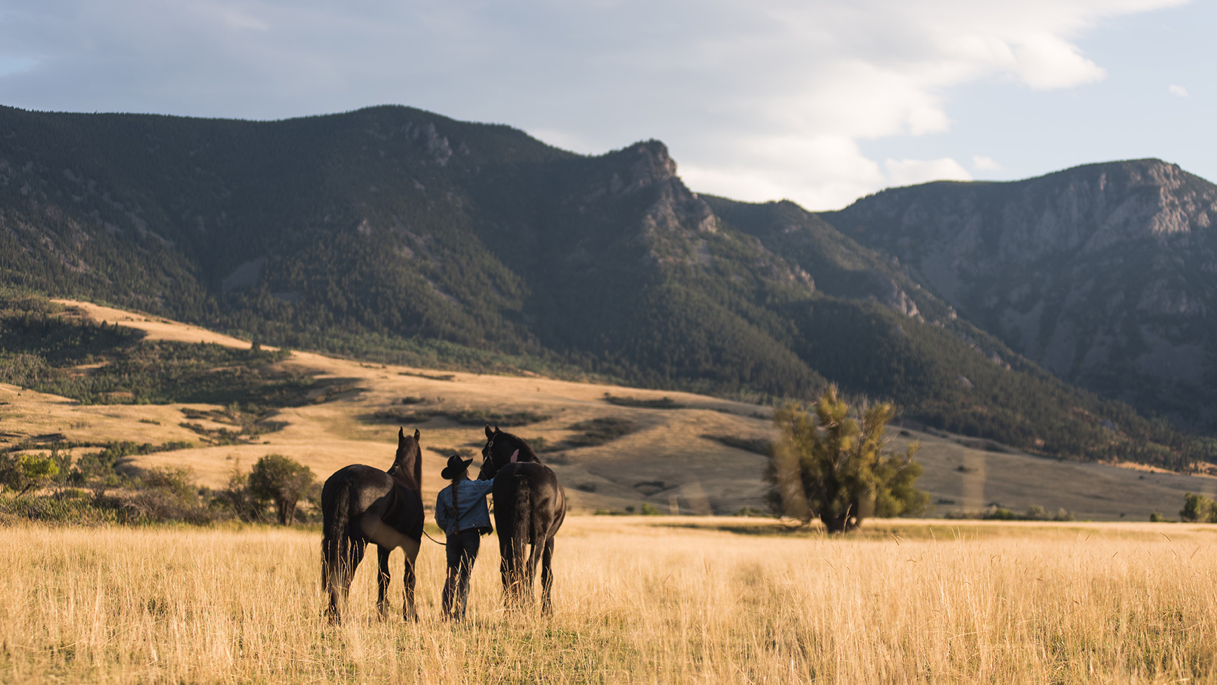 Working with horses at Canyon Ranch near Sheridan, Wyoming