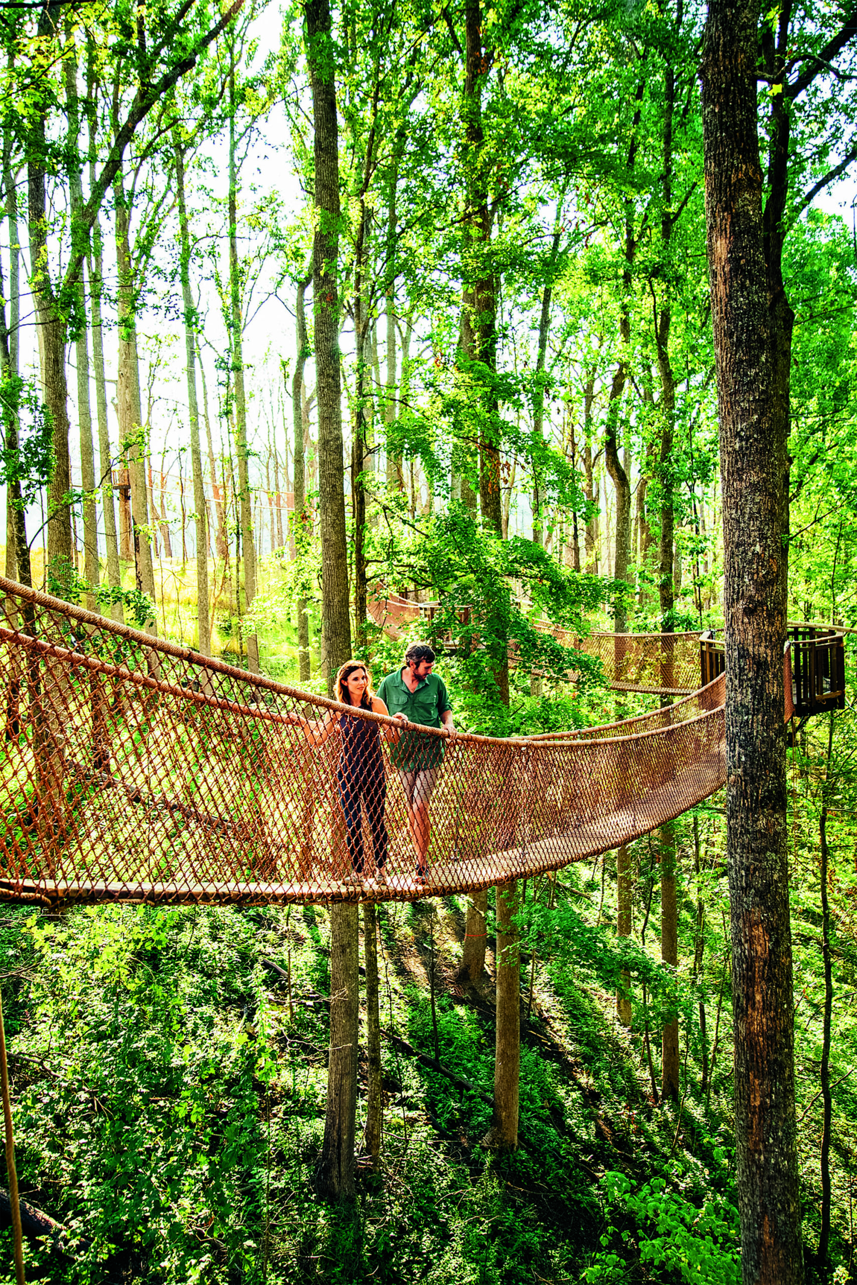 Crossing a treetop rope bridge at Anakeesta in Gatlinburg, Tennessee; Credit: Anakeesta