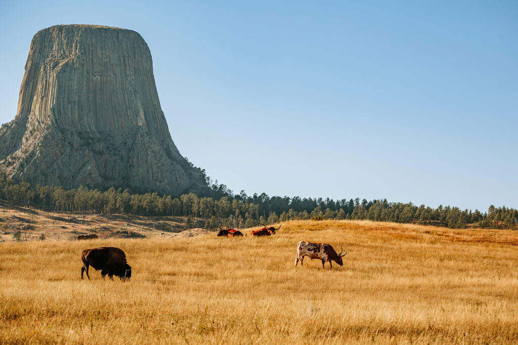 Devils Tower National Monument, Wyoming
