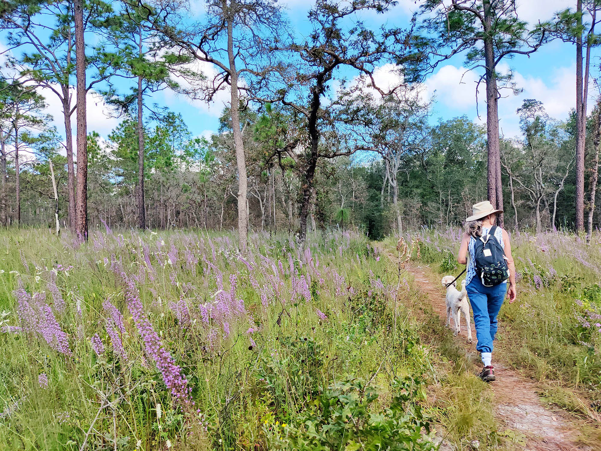 Croom Tract at Withlacoochee State Forest on Florida’s Adventure Coast in Hernando County, Florida; Credit: Florida’s Adventure Coast Visitors Bureau
