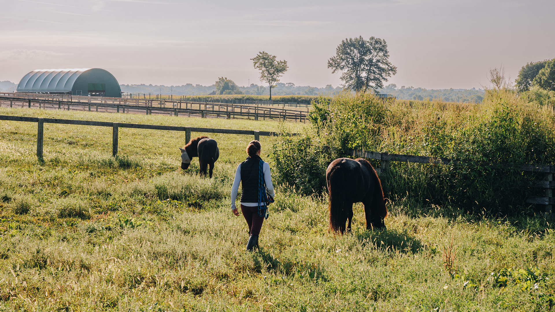 Visiting the  Léttleiki Icelandics horse farm in Shelby, Kentucky