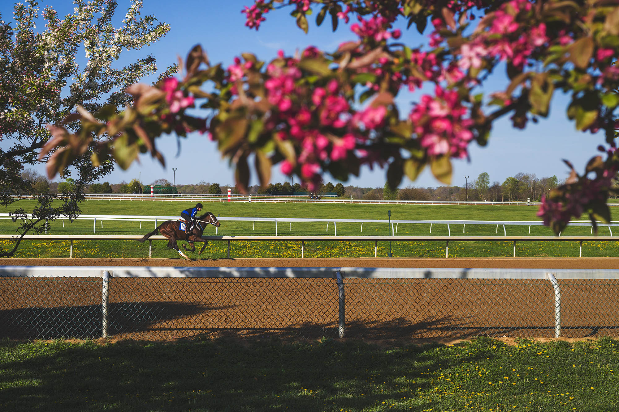 Keeneland Race Course in Lexington, Kentucky;
Credit: Richie Wireman
