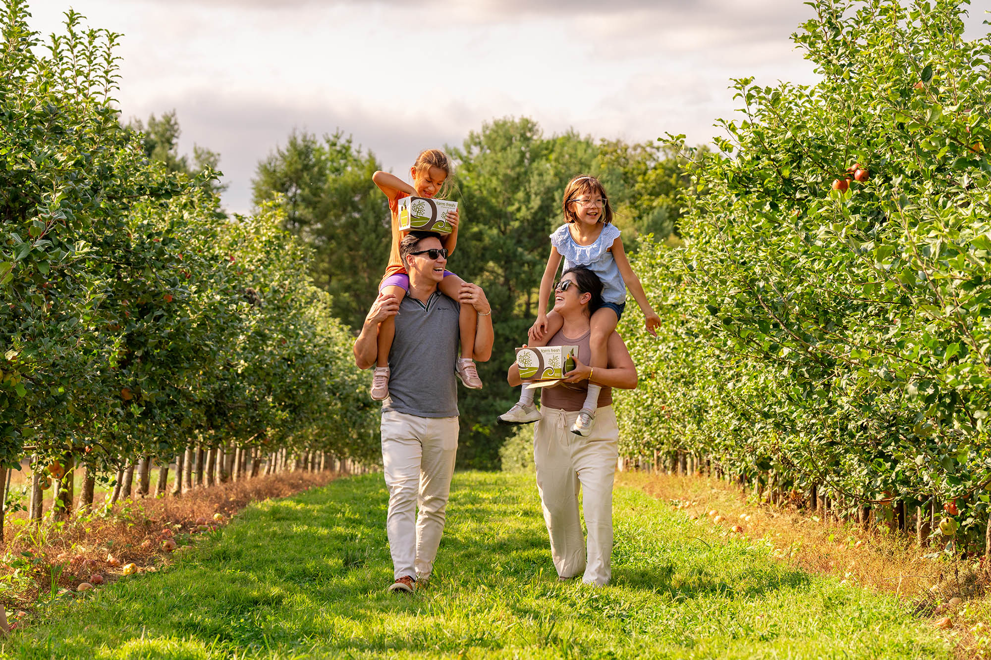 Linvilla Orchards in Media, Pennsylvania