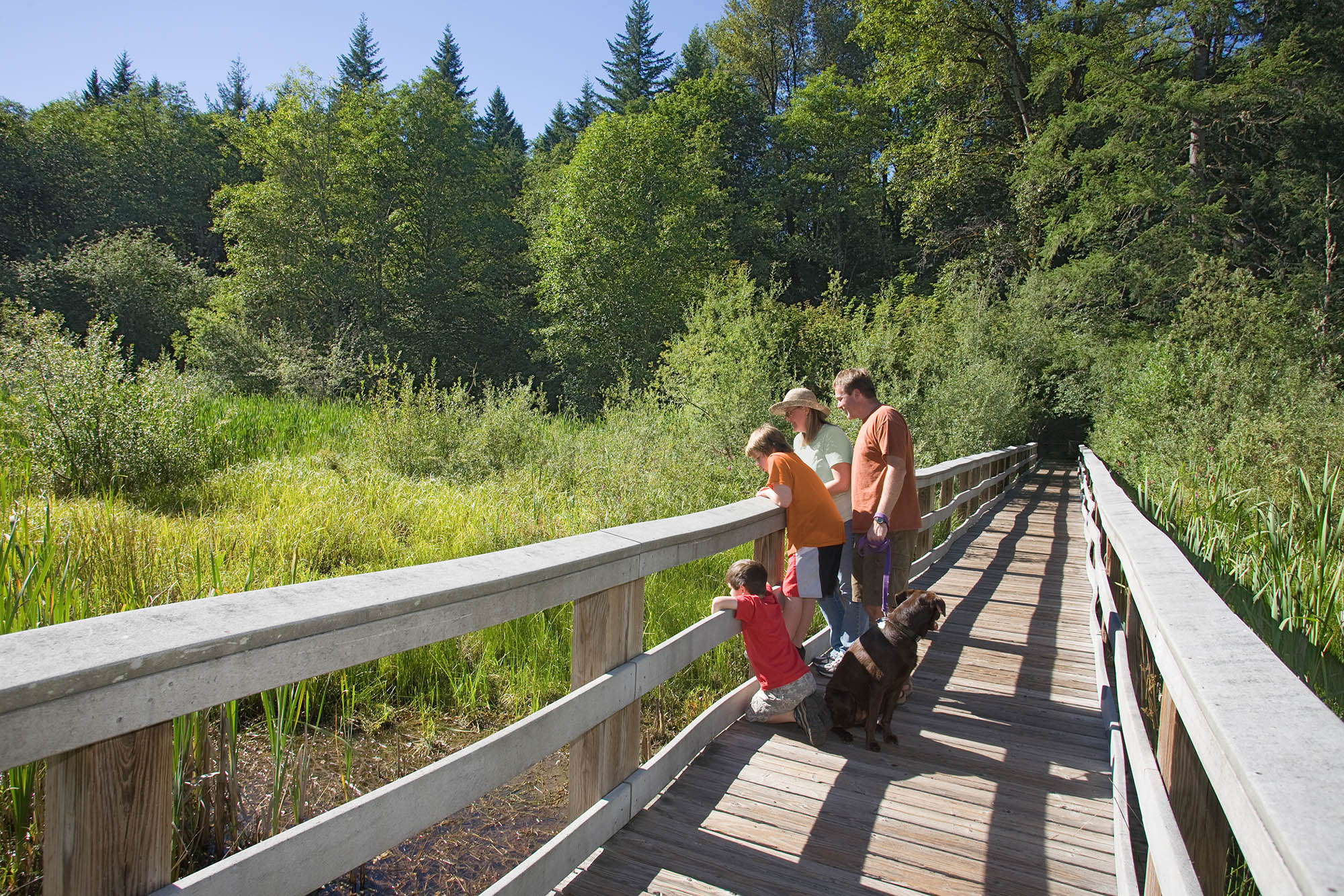 A family on the Wetland Boardwalk Trail at the Wildwood Recreation Site in Oregon’s Mt. Hood Territory; Credit: hood-gorge.com
