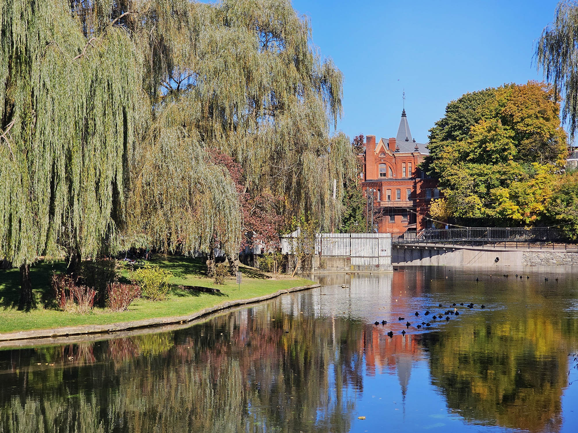 Talleyrand Park in Bellefonte, Pennsylvania; Credit: Michelle Joy