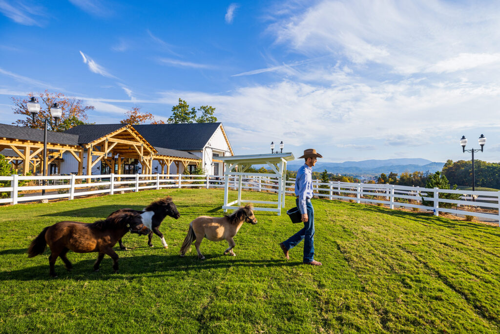 SkyLand Ranch in Sevierville, Tennessee; Credit: Steven Bridges