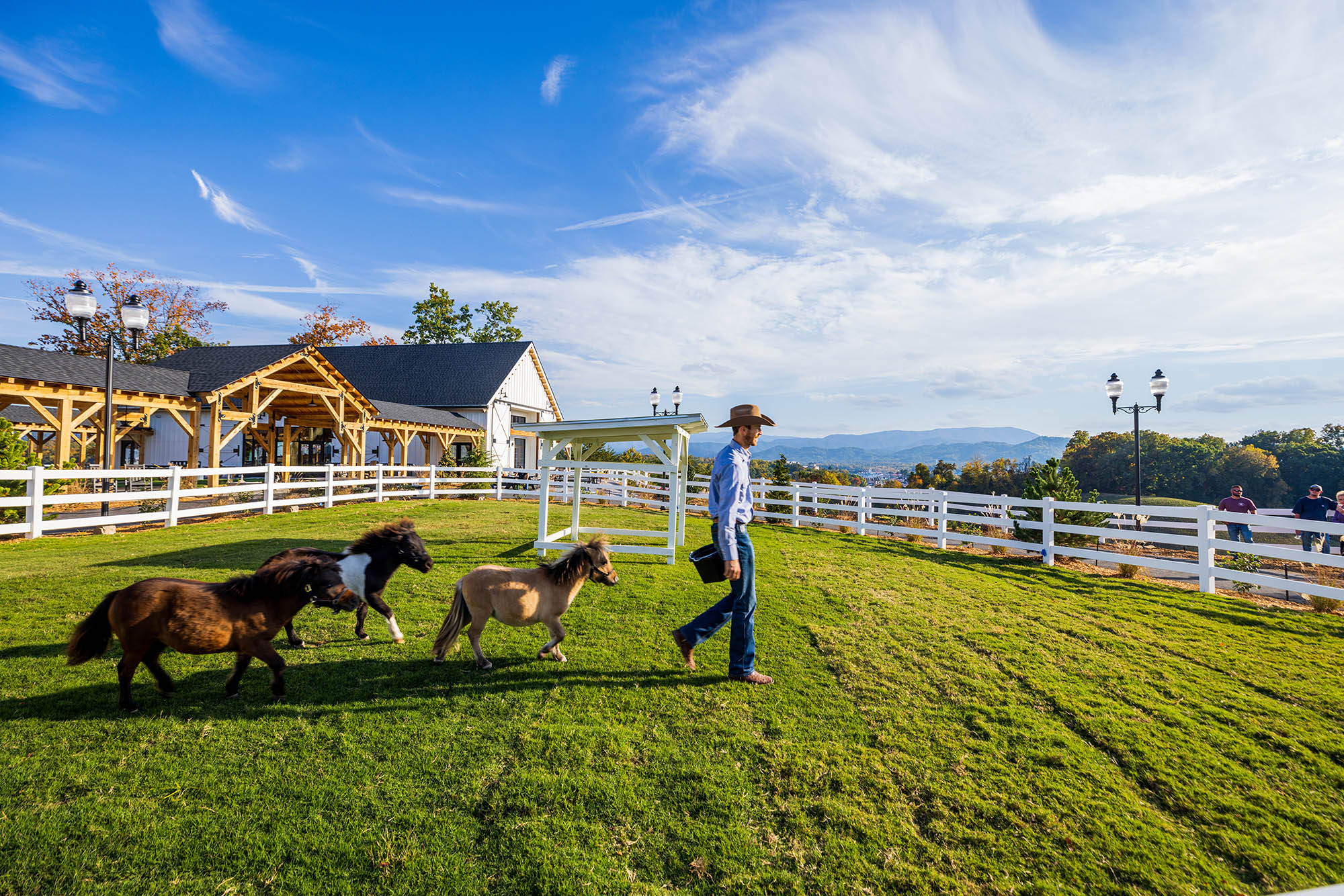 A cowboy and miniature horses at SkyLand Ranch in Sevierville, Tennessee, with the Smoky Mountains in the background; Credit: Steven Bridges