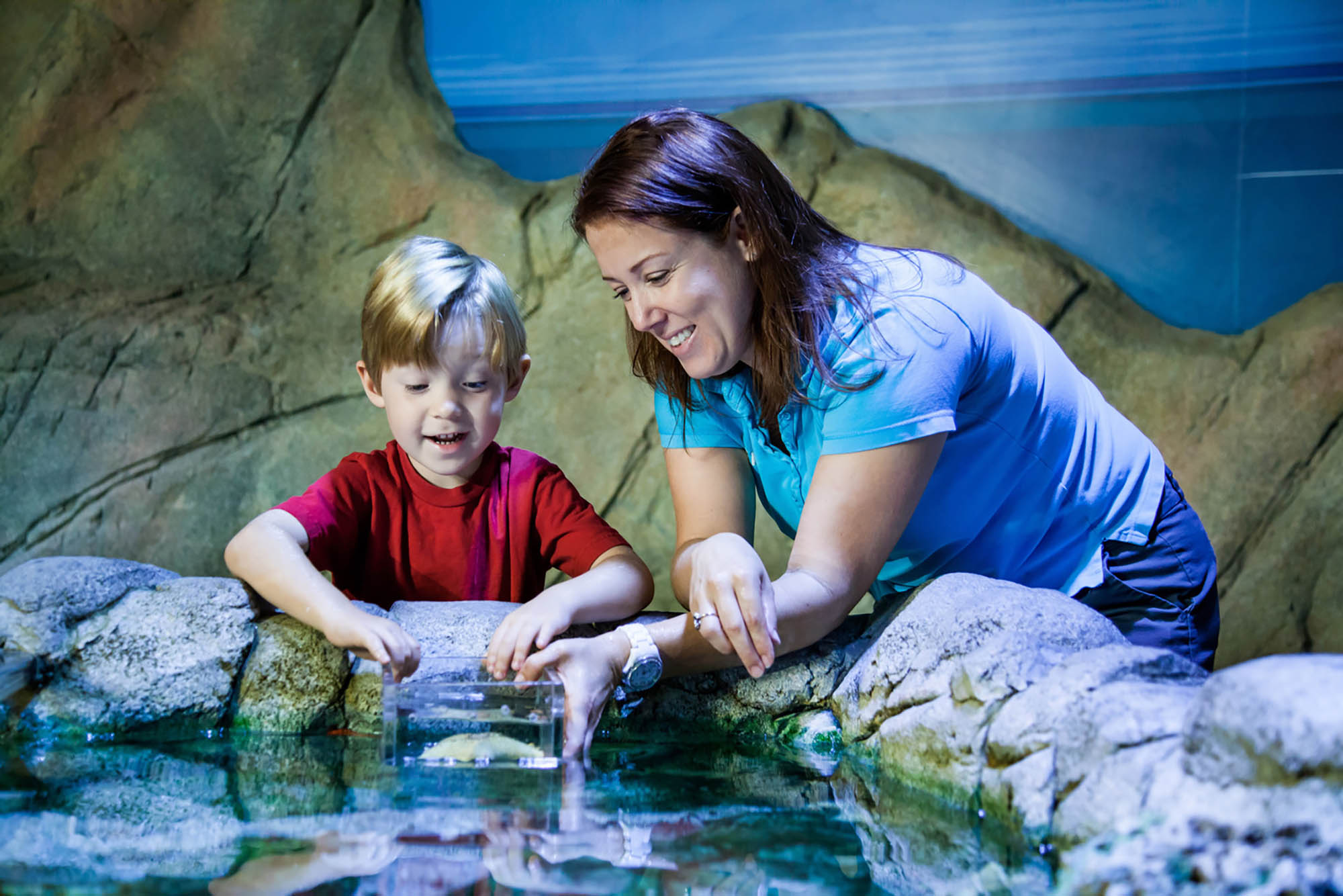 A mother and son enjoying a touch tank at SEA LIFE Grapevine Aquarium in Grapevine, Texas; Credit: Grapevine CVB