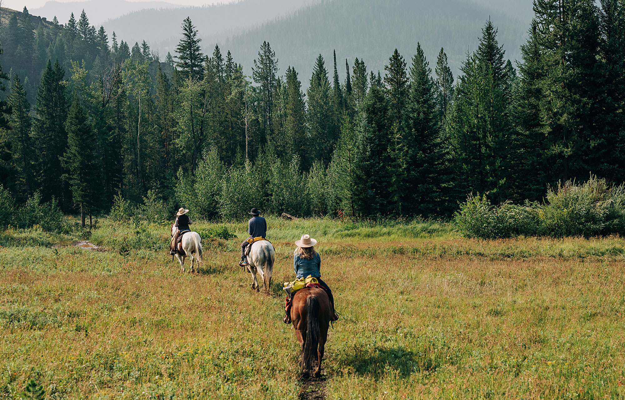 Horseback riding in the Shoshone National Forest in Wyoming’s Park County
